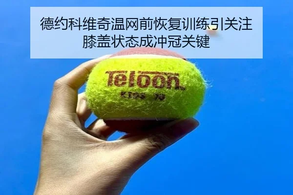 德约科维奇温网前恢复训练引关注 膝盖状态成冲冠关键